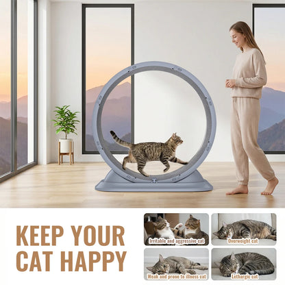Ruota Gatti | Ruota per Esercizi Grande con Design Antigraffio | Giocattolo Silenzioso per Salute e Divertimento Feline 1