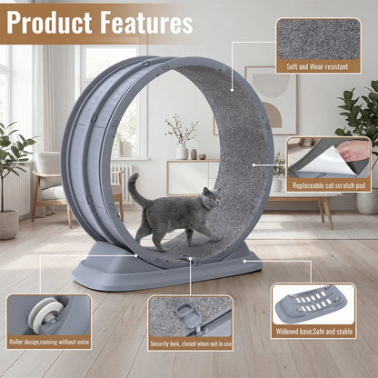 Ruota Gatti | Ruota per Esercizi Grande con Design Antigraffio | Giocattolo Silenzioso per Salute e Divertimento Feline 2