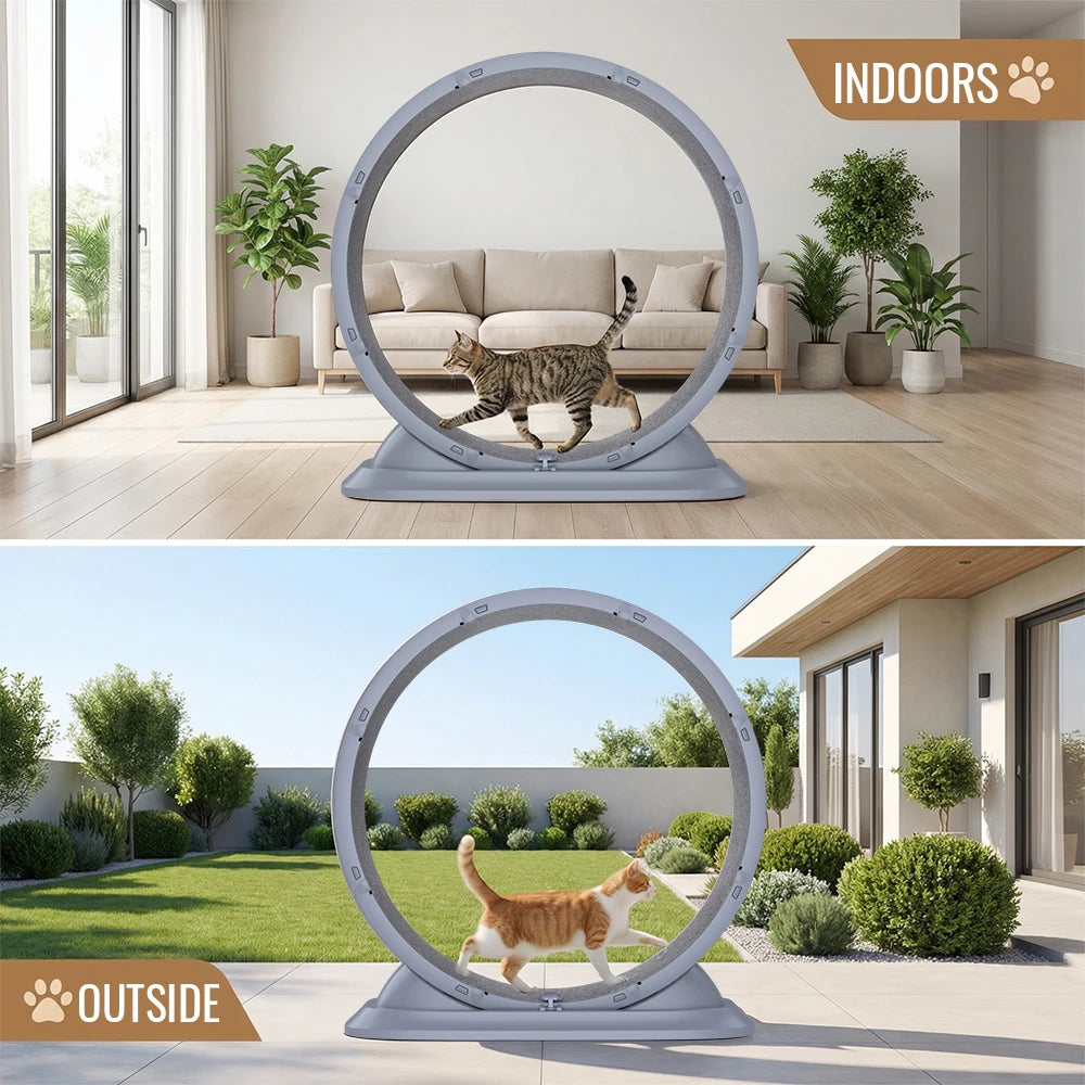 Ruota Gatti | Ruota per Esercizi Grande con Design Antigraffio | Giocattolo Silenzioso per Salute e Divertimento Feline 5