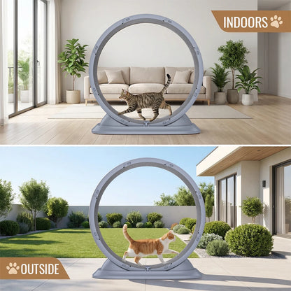 Ruota Gatti | Ruota per Esercizi Grande con Design Antigraffio | Giocattolo Silenzioso per Salute e Divertimento Feline 5