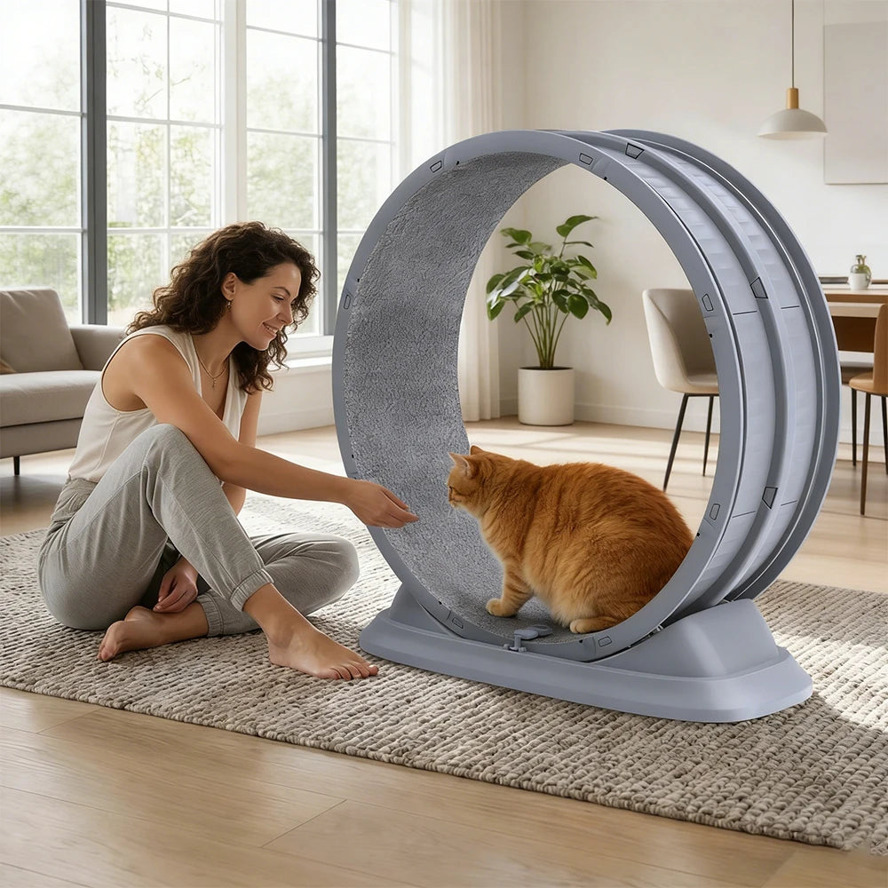 Ruota Gatti | Ruota per Esercizi Grande con Design Antigraffio | Giocattolo Silenzioso per Salute e Divertimento Feline 6