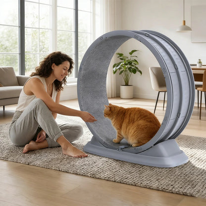 Ruota Gatti | Ruota per Esercizi Grande con Design Antigraffio | Giocattolo Silenzioso per Salute e Divertimento Feline 6