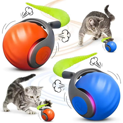 Giocattolo Interattivo per Gatti con Attivazione Automatica | Giochini per Gattini per Intrattenimento e Riduzione dello Stress