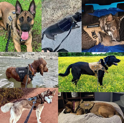Dog Harness for Strong Dogs with Full Protection | Comfort and Control for Training and Walks