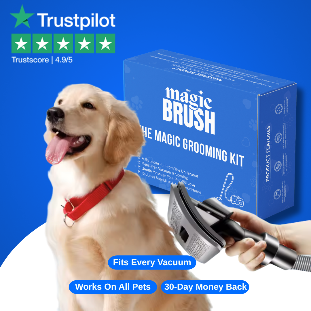 Set Completo per la Cura degli Animali | Magic Grooming Kit con Strumenti Professionali | Facile da Usare per Toelettatura Efficiente 5