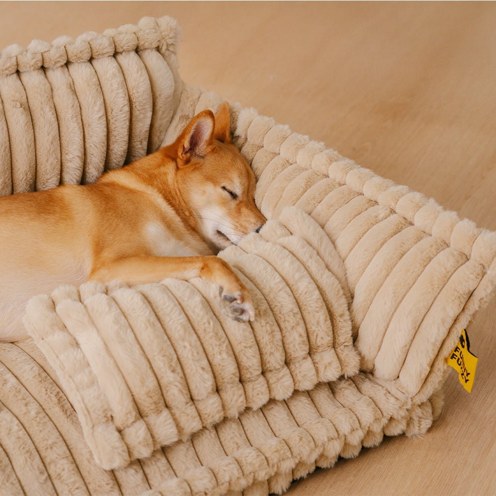 Sogno Soffice | Letto per Cani Ortopedico con Sostegno per Articolazioni | Morbido e Lavabile per Comfort Ottimale 2