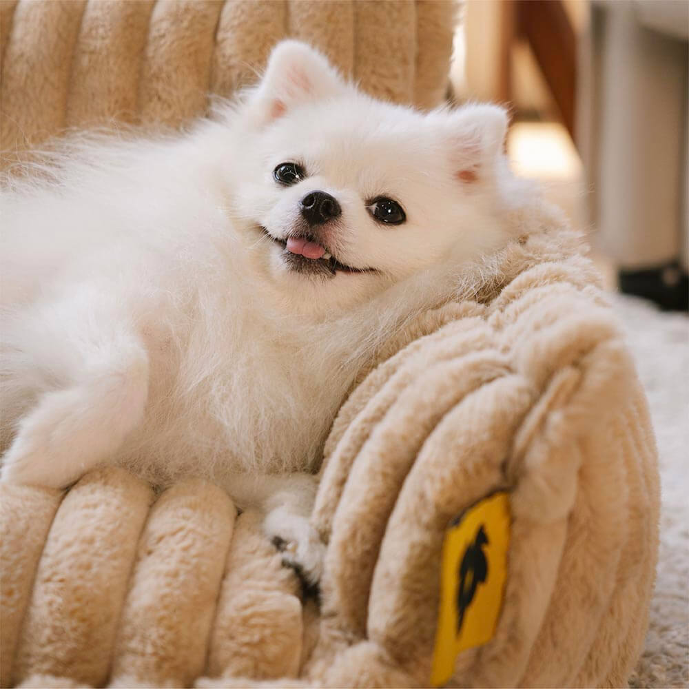 Sogno Soffice | Letto per Cani Ortopedico con Sostegno per Articolazioni | Morbido e Lavabile per Comfort Ottimale 4