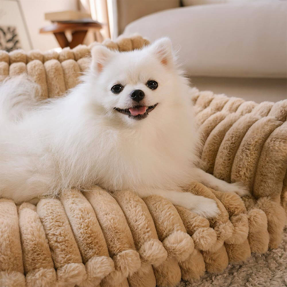 Sogno Soffice | Letto per Cani Ortopedico con Sostegno per Articolazioni | Morbido e Lavabile per Comfort Ottimale 5