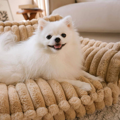Sogno Soffice | Letto per Cani Ortopedico con Sostegno per Articolazioni | Morbido e Lavabile per Comfort Ottimale 5