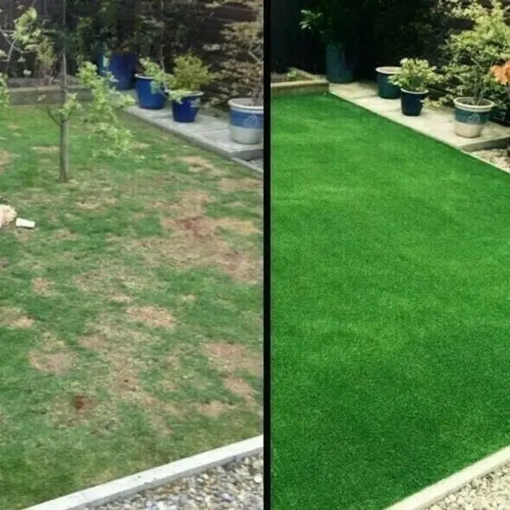 Biodegradable Mat for Green Lawn | Fast and Easy Growth for Gardens and Yards
