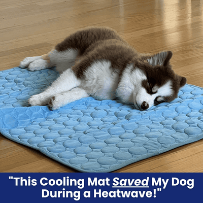 Tappetino Refrigerante per Cani con Tecnologia Antiscivolo | Comfort Ottimale per Estati Fresche