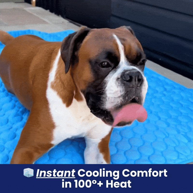 Tappetino Refrigerante per Cani con Tecnologia Antiscivolo | Comfort Ottimale per Estati Fresche 1