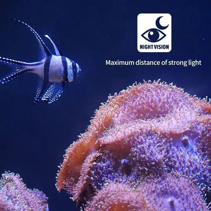 Telecamera Subacquea per Pesca con Visione Notturna e Cavo Flessibile | Immagini Chiare in Ogni Condizione