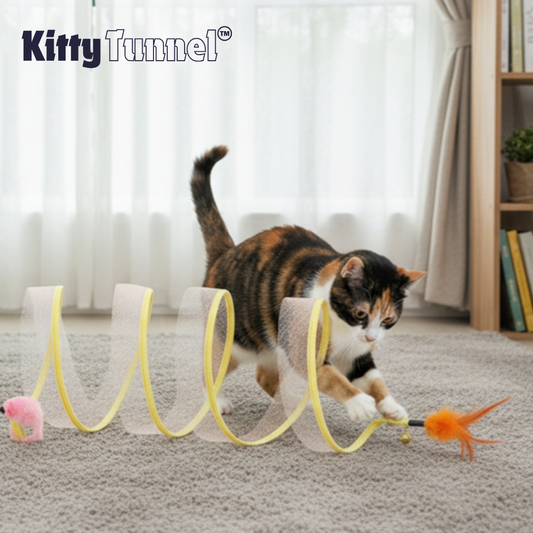 Tunnel per Gatti | Tunnel Giocattolo Pieghevole con Piume & Palline di Sisal | Divertimento e Esplorazione per il Tuo Felino 0