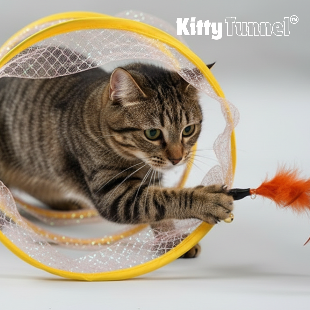 Tunnel per Gatti | Tunnel Giocattolo Pieghevole con Piume & Palline di Sisal | Divertimento e Esplorazione per il Tuo Felino 1