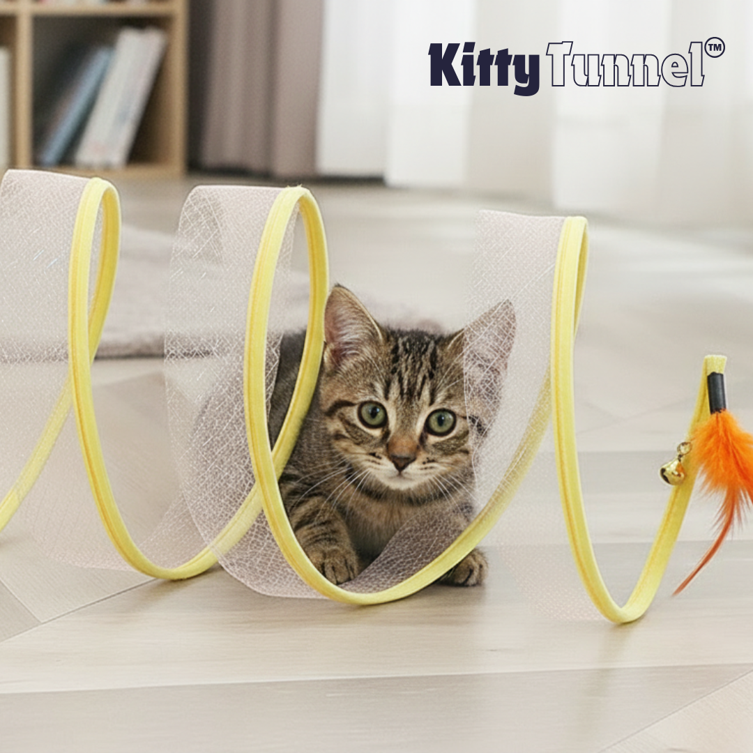 Tunnel per Gatti | Tunnel Giocattolo Pieghevole con Piume & Palline di Sisal | Divertimento e Esplorazione per il Tuo Felino 2