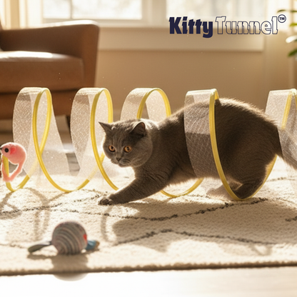 Tunnel per Gatti | Tunnel Giocattolo Pieghevole con Piume & Palline di Sisal | Divertimento e Esplorazione per il Tuo Felino 4