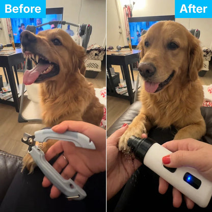 Professional Electric Dog Nail File with LED Light, Quiet Cat Nail Clipper, 5 Speeds, USB-C Rechargeable, Grooming Kit for Safe Nails