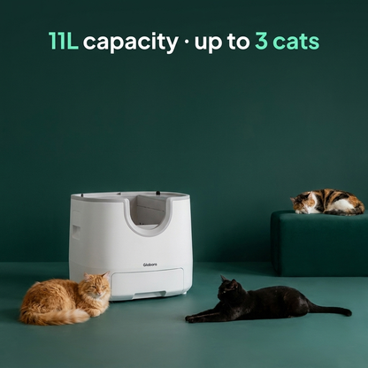 Lettiera Gatto Autopulente con Design Elegante e Sensori di Sicurezza | Facile Manutenzione per Famiglie con Più Gatti