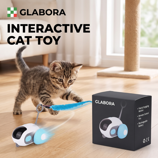 Interactive Cat Toy GLABORA - lifestyle with packaging