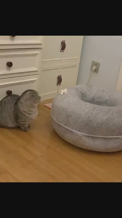 Kitty Napz | Letto per Gatti Con Design Ergonomico e Materiali Resistente | Riposo Confortevole per Il Tuo Amico a Quattro Zampe