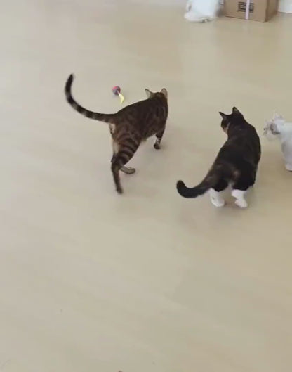 Giocattolo Interattivo per Gatti con Attivazione Automatica | Giochini per Gattini per Intrattenimento e Riduzione dello Stress