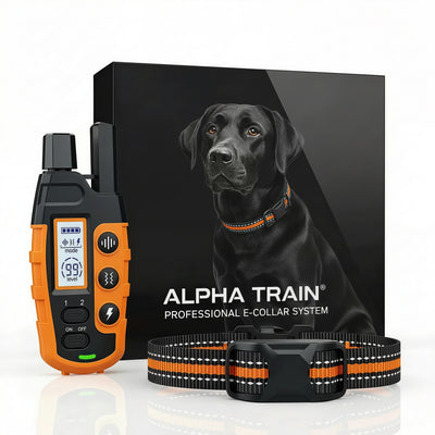 Collare Elettrico per Cani | Collare da Addestramento Impermeabile con 3 Modalità Regolabili | Controllo a Lunga Distanza Fino a 1000 Metri
