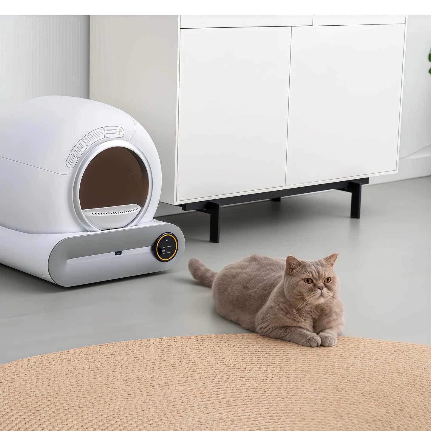 Zelfreinigende Kattenbak | 65 Liter Robot met Geurfilter | Gemakkelijk Onderhoud voor een Hygiënische Omgeving