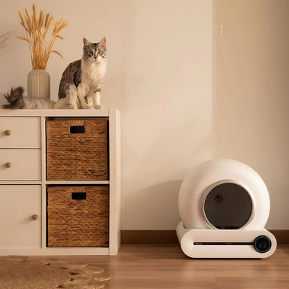 Zelfreinigende Kattenbak | 65 Liter Robot met Geurfilter | Gemakkelijk Onderhoud voor een Hygiënische Omgeving