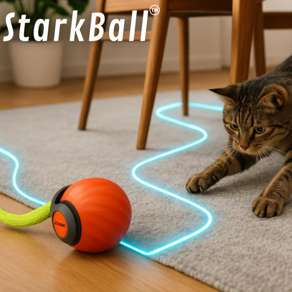 Giocattolo Interattivo per Gatti con Attivazione Automatica | Giochini per Gattini per Intrattenimento e Riduzione dello Stress